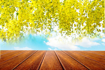Naklejka na ściany i meble empty wooden for advertising board on blue sky with beautiful spring yellow flower background 