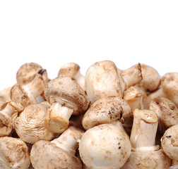 raw champignons