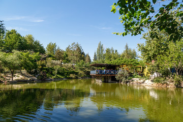 Fototapeta na wymiar Natural Park with Lake