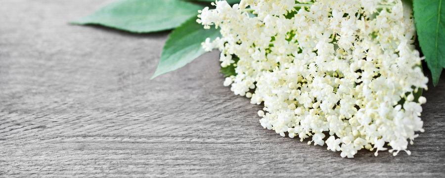 Holunder - Holunderbl&uuml;ten auf Holz