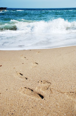 Fototapeta na wymiar Legsprints at the sea beach