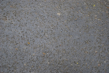 Wet asphalt