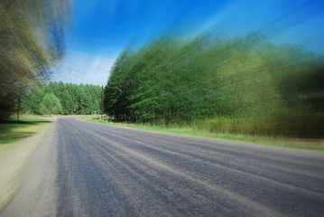 road between trees