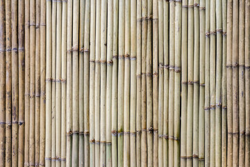 Bamboo fence