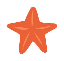 Sea star vector illustration.
