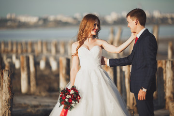 Beautiful young wedding couple, bride and groom posing near wooden poles on the background sea