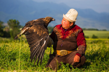 Golden eagle. Hunting
