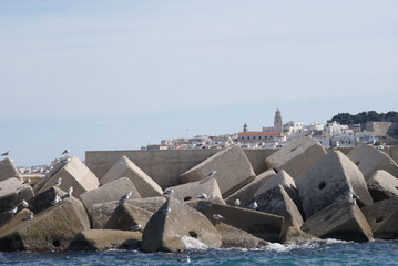 vieste
