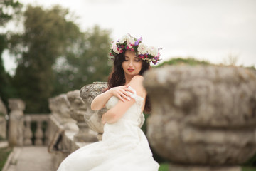 Fototapeta na wymiar Gorgeous romantic gentle stylish beautiful caucasian bride on the background ancient baroque castle
