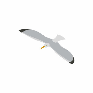 Seagull icon, isometric 3d style