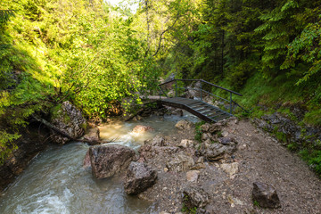 Wąwóz Homole - Pieniny © kabat