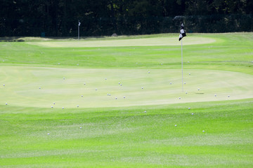 Obraz premium golf landscape