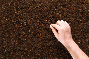 Soil texture background seen from above, top view.