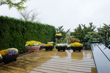 Rain on the terrace the house