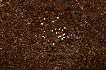Soil texture background seen from above, top view.