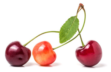 Three cherries with leaf closeup isolated on white background