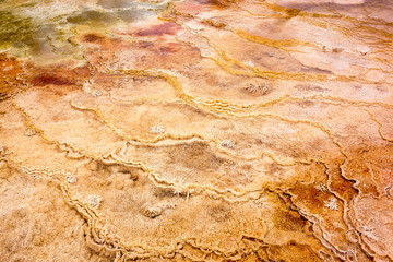 Mammoth Hot Springs