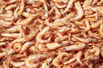 Dried Shrimps