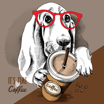Poster with the image of a Basset Hound dog with glasses and coffee. Vector illustration.