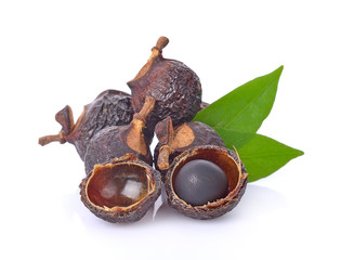 Soap nut tree isolated on  white background