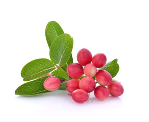 Carunda or Karonda on white background