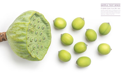 lotus seeds, lotus seeds close up, lotus seeds on white background, top view