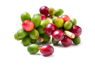 Coffee beans isolated on white background.