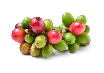 Coffee beans isolated on white background.