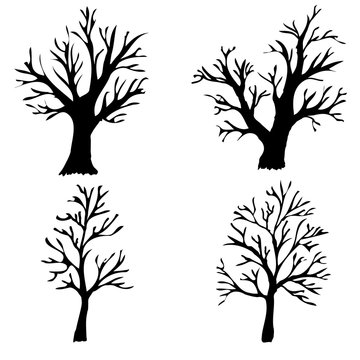 Vector illustration. Silhouettes of bare trees on a white background.
