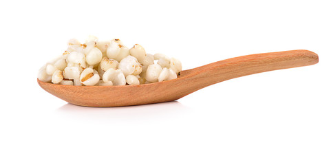 Millet isolated on a white background.