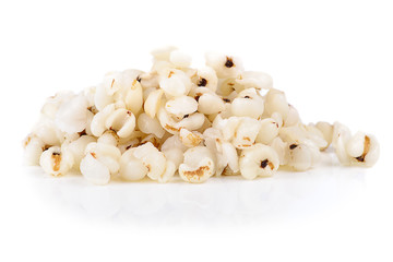 Millet isolated on a white background.