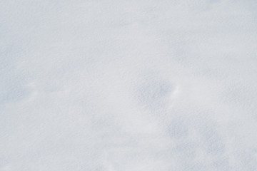 snow texture