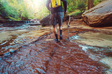 Hike in Zion