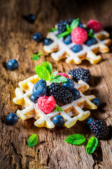 Homemade waffels with berry fruits on wooden bark