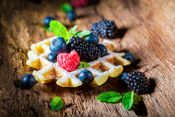 Fresh berry fruits with waffels on wooden bark