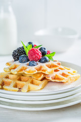 Fresh berries with waffels and mint leaves