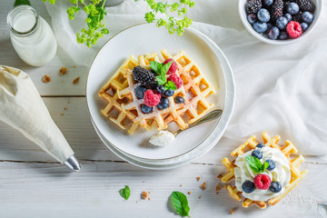 Homemade berries with waffels and whipped cream