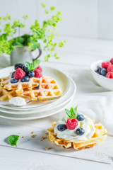 Sweet waffels with berry fruits and whipped cream