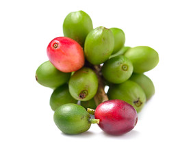 Coffee beans isolated on white background.