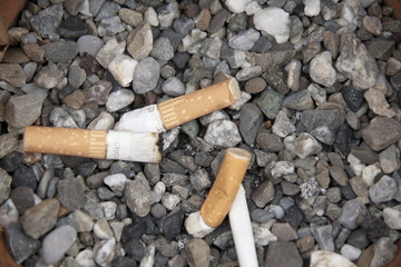 Cigarette butts in an ashtray with pebbles.