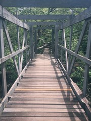 Fototapeta na wymiar Wood bridge