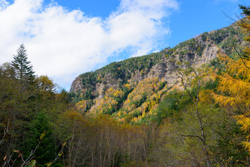 Foot of Yatsugatake in autumn in Nagano, Japan