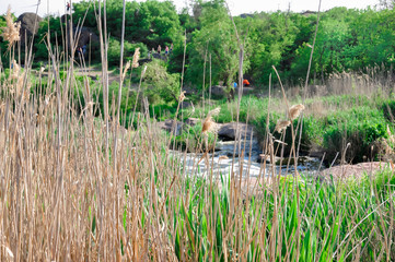 View of a mountain river with the surrounding vegetation.