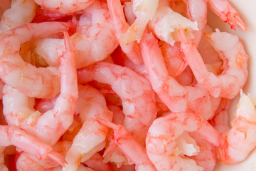 the shrimp in the bowl closeup on white background