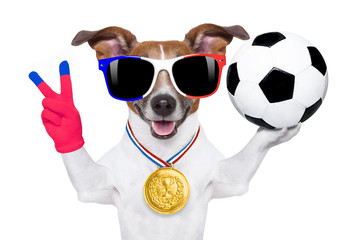 soccer football dog with ball