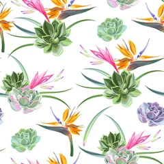 Printed kitchen splashbacks Paradise tropical flower Exotic flowers and succulents seamless