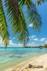 Fototapeta na wymiar Paradise view of Rangiroa atoll, French Polynesia