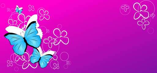 Summer butterflies graphic