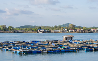 Scenery of a floating basket for keeping live fish in water sea in phuket,Thailand