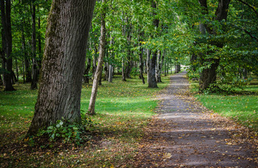 Alley in old autumn park, autumn landscape